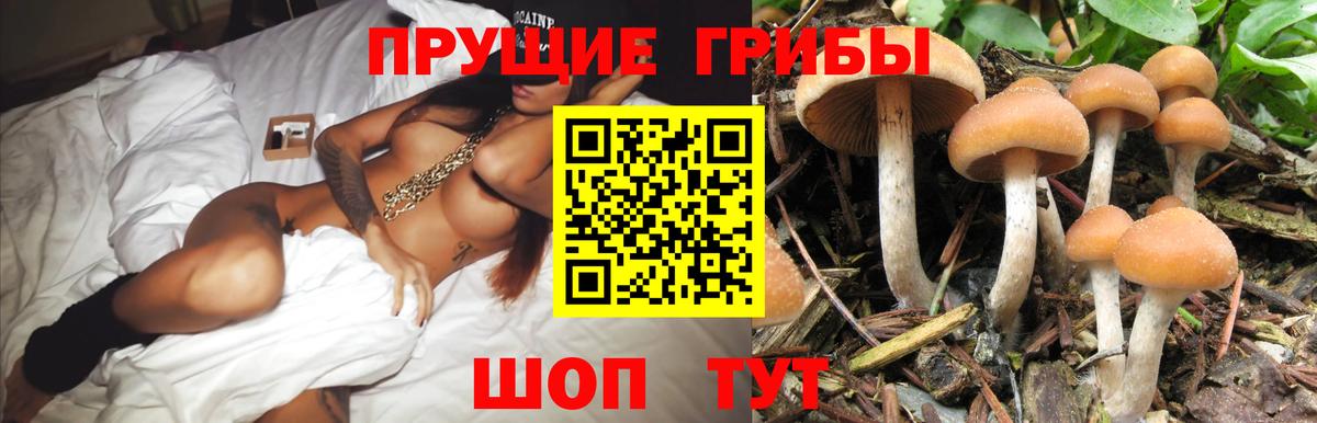 Галлюциногенные грибы мицелий  купить наркотики цена  Екатеринбург  Вход с VPN 